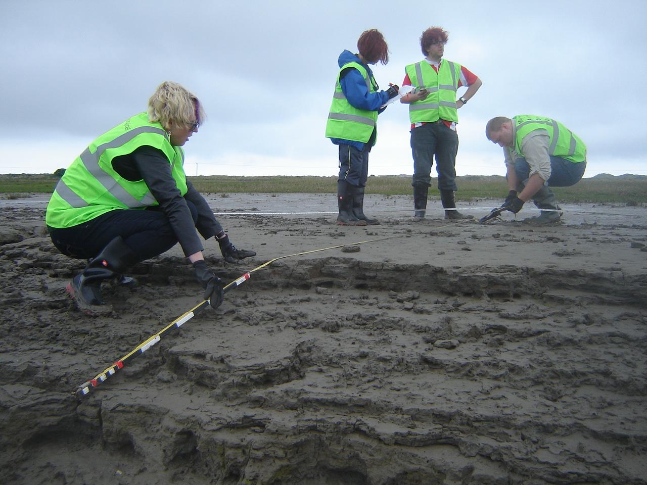 Surveying and recording the rate of bank erosion   